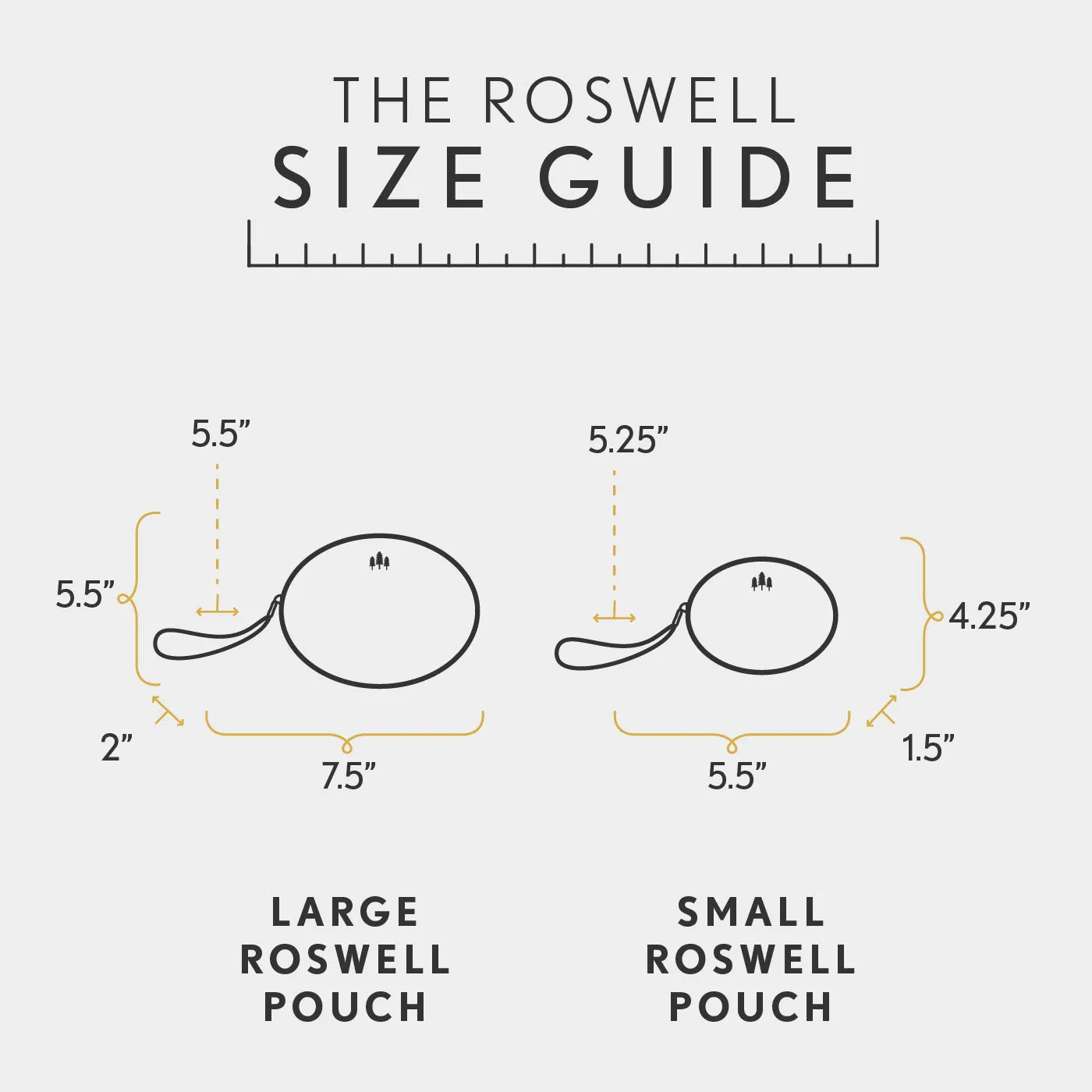 'Almost Perfect' Roswell Pouch