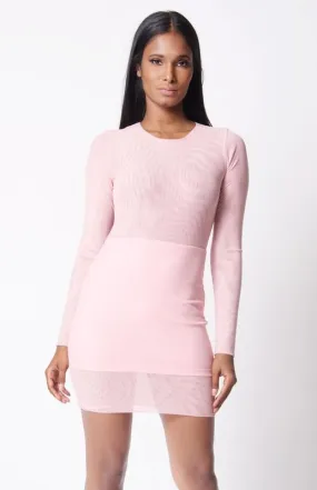 Long Sleeve Mesh Mini Dress