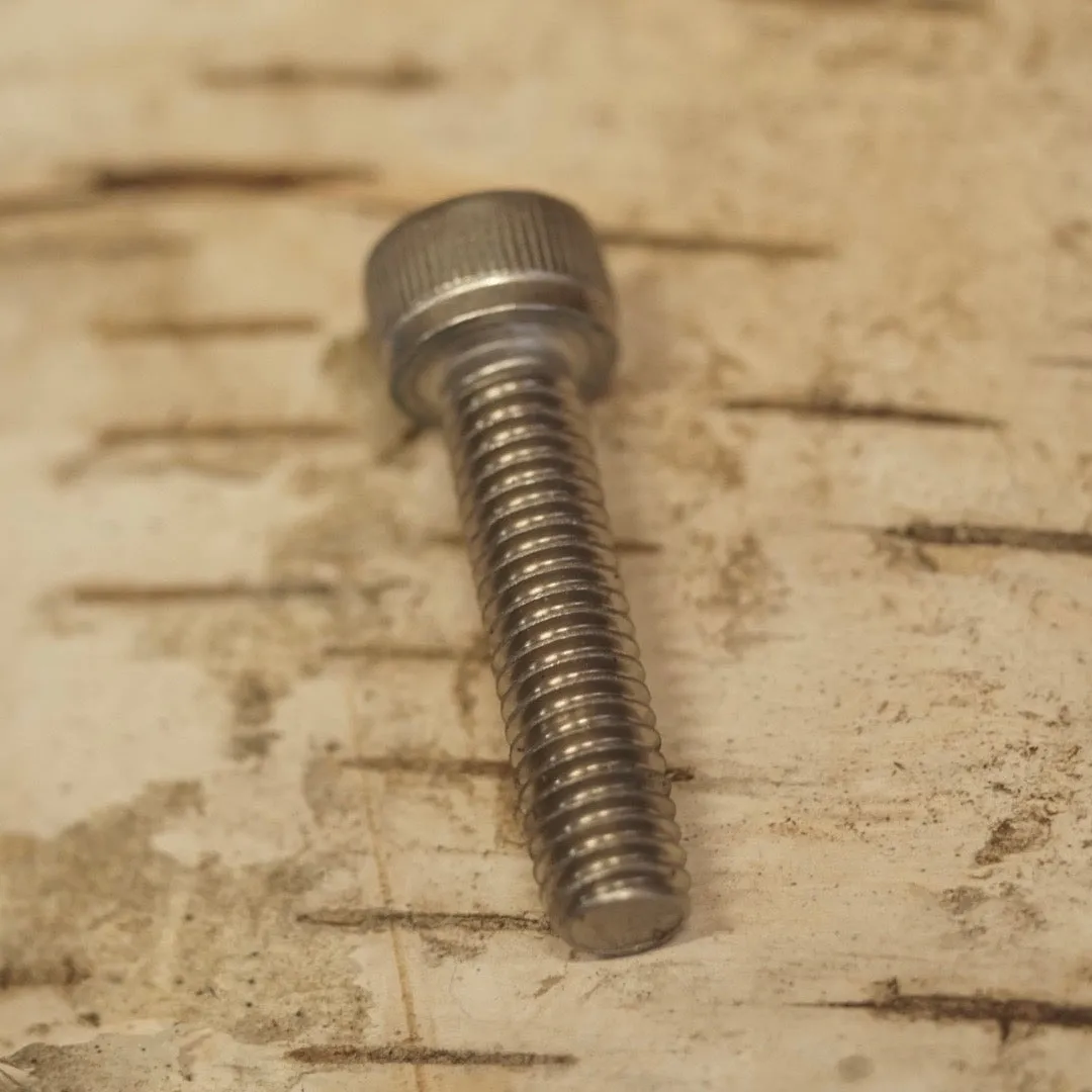 M5 & M6 Stainless Bolts