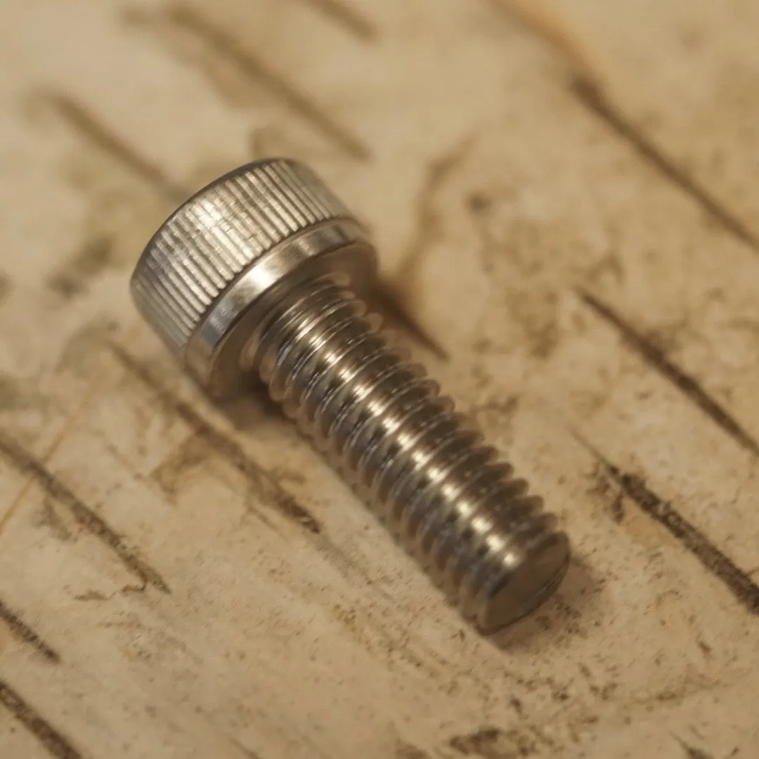 M5 & M6 Stainless Bolts