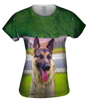 Sitting Proud German Sheperd