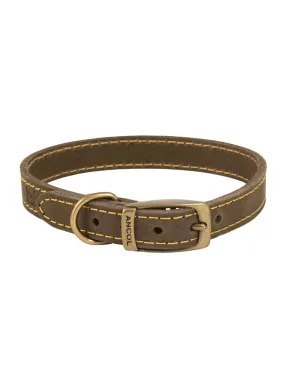 Timberwolf Leather Collar - Sable | By Ancol